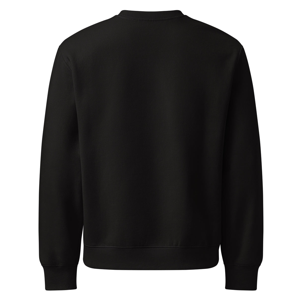 My Apothecary Has Trust Issues, a witchy black cat and a cabinet of potion bottles, on a black oversized heavyweight sweatshirt, back view