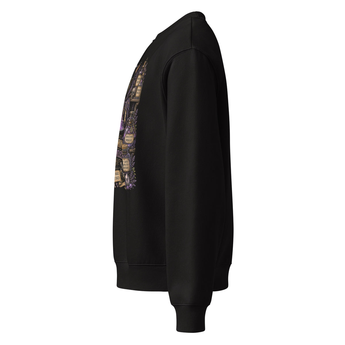 Add A Little Chaos whimsigoth design, a masked cat and a bubbling cauldron, on a black oversized heavyweight sweatshirt, left side view