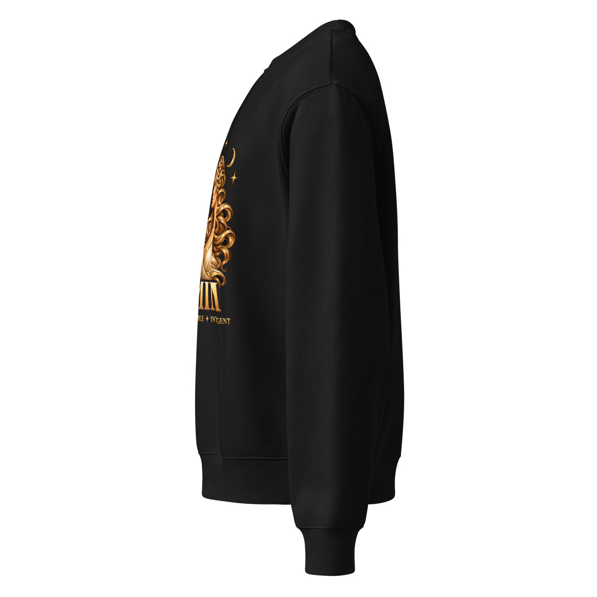 Gemini zodiac oversized sweatshirt in black, left side view