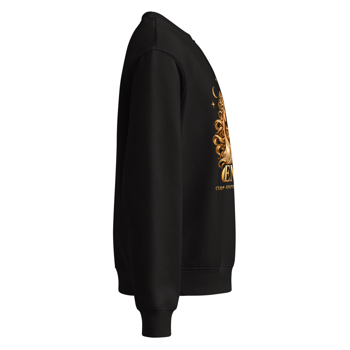 Gemini zodiac oversized sweatshirt in black, right side view