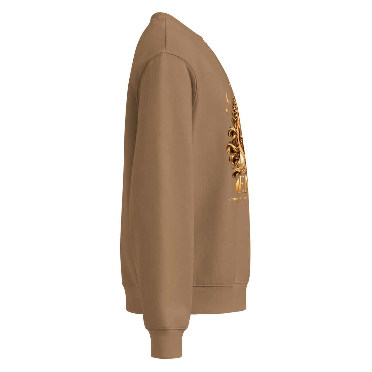 Gemini zodiac oversized sweatshirt in vintage brown, right side view