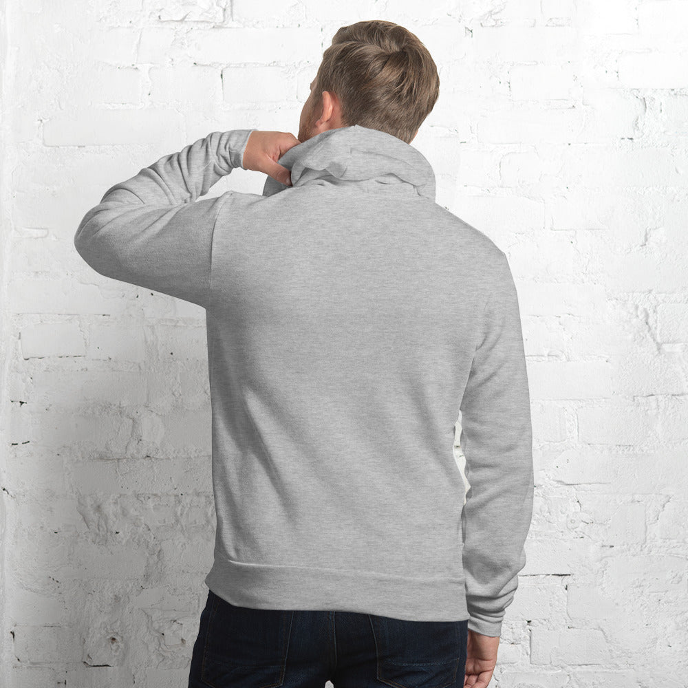 Cancer zodiac hoodie in athletic heather, back view