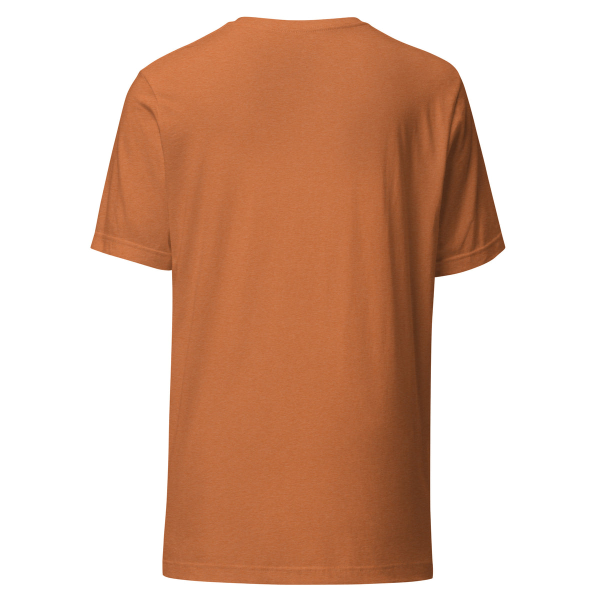 Retro Psychic Is In unisex t-shirt in heather autumn, back view, showing the plain reverse.