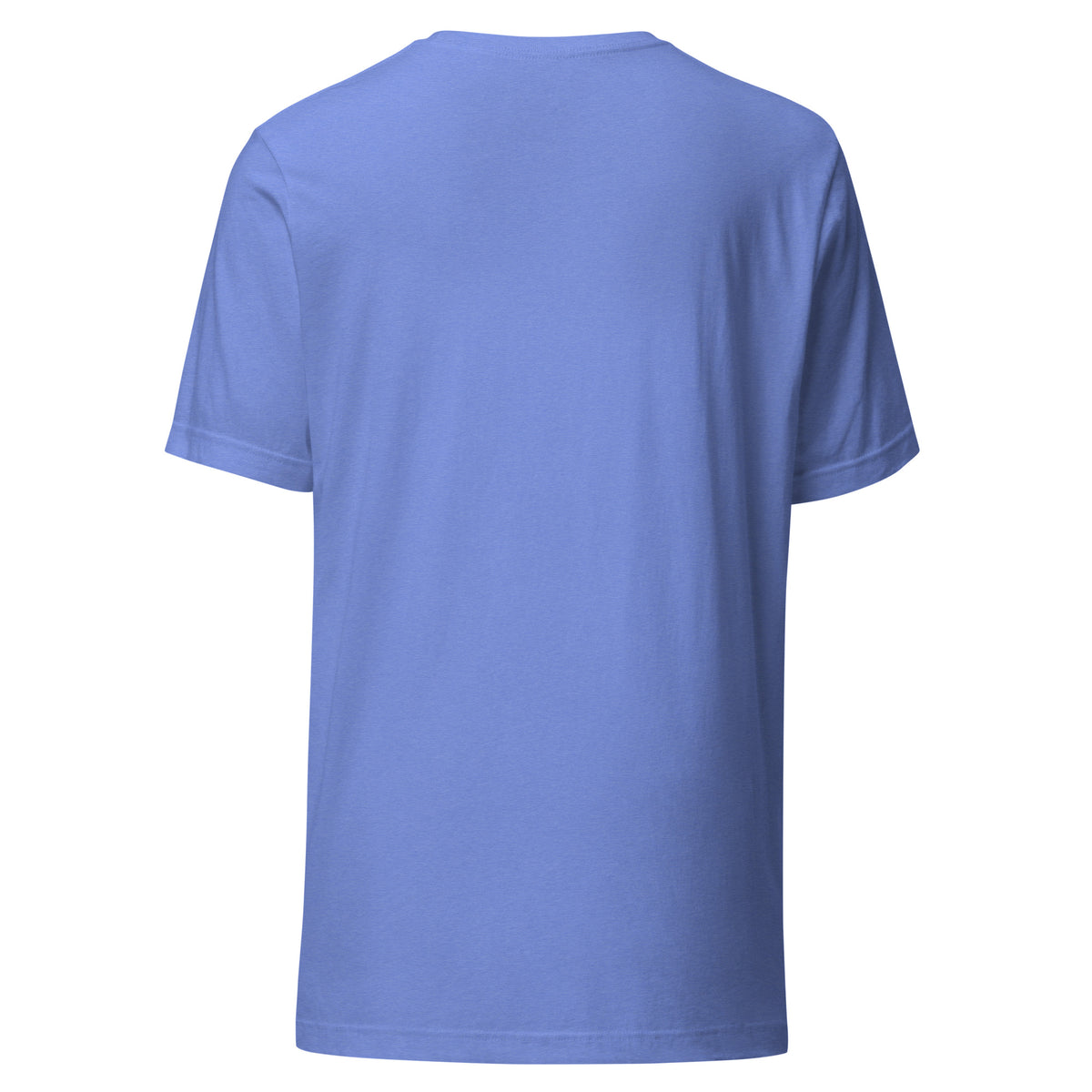 A Little Herbal Magic unisex t-shirt in heather columbia blue, back view, showing the plain reverse.