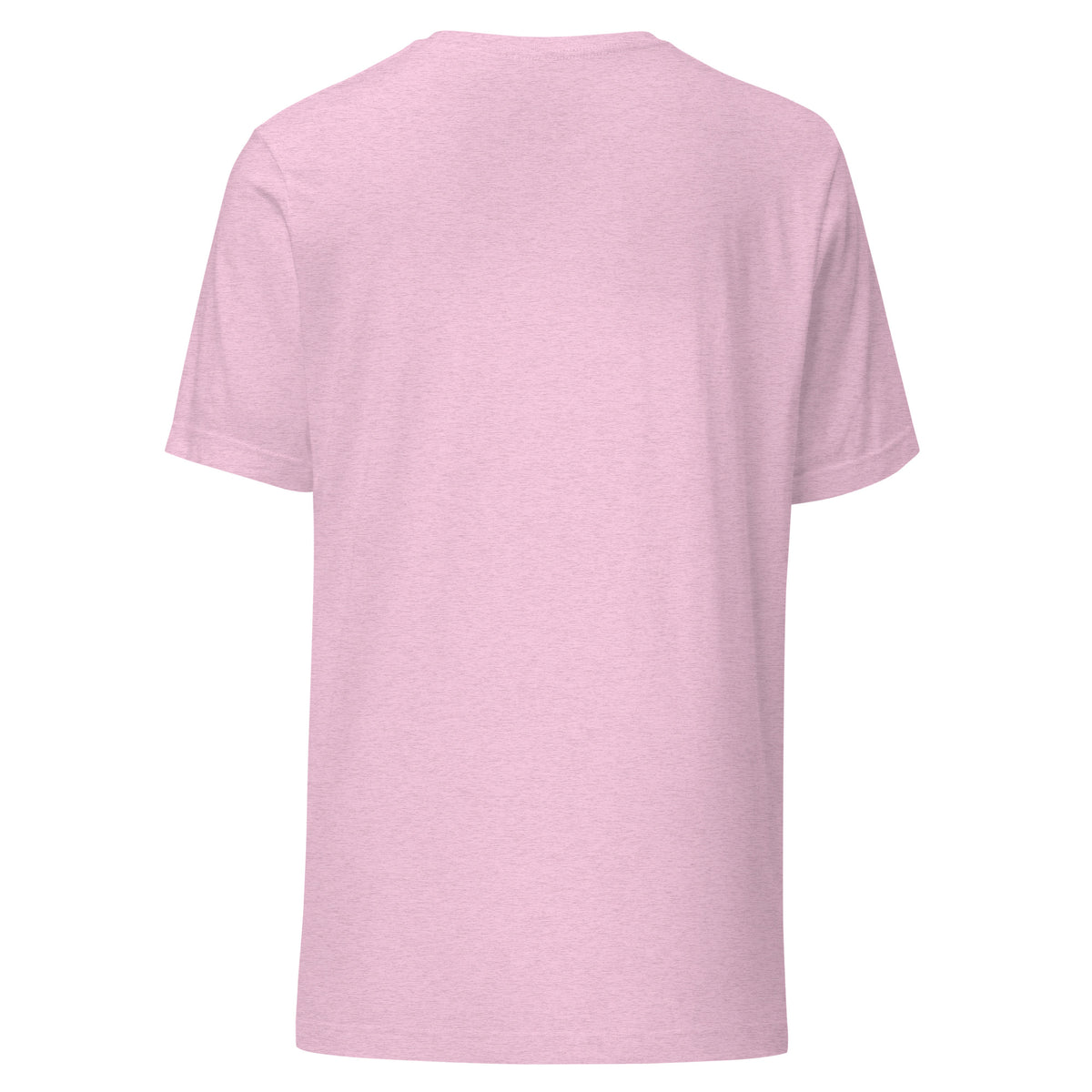 Sage Advice and Questionable Potions design, on a heather prism lilac unisex t-shirt, plain back view with no design
